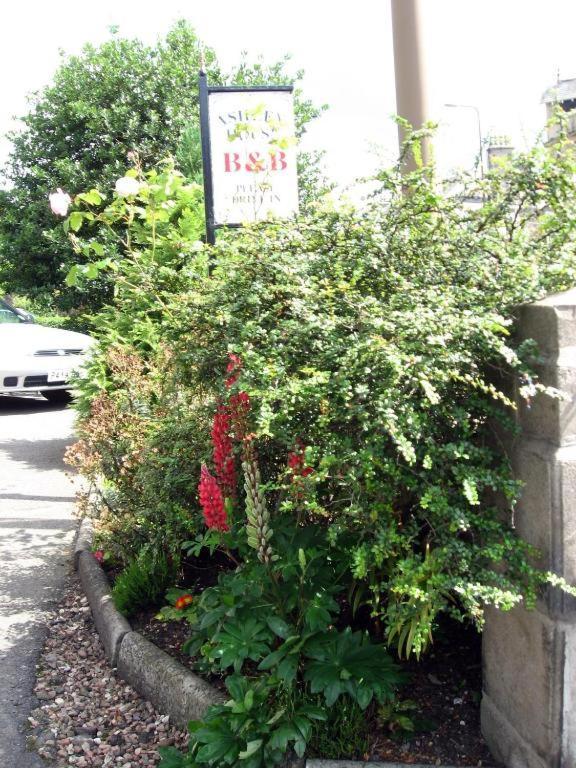Ashley House Bed & Breakfast Dundee Exterior foto